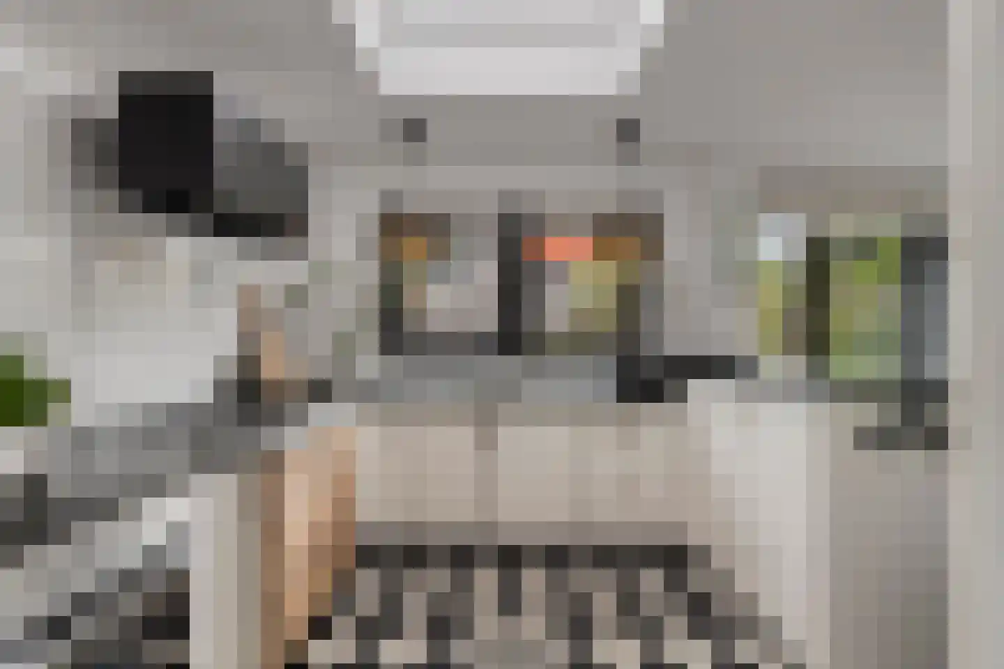 Lijsterbeslaan 4 Pijnacker thumbnail 12