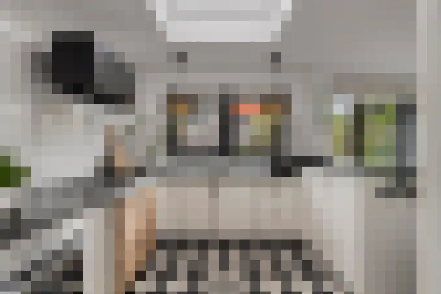 Lijsterbeslaan 4 Pijnacker thumbnail 12