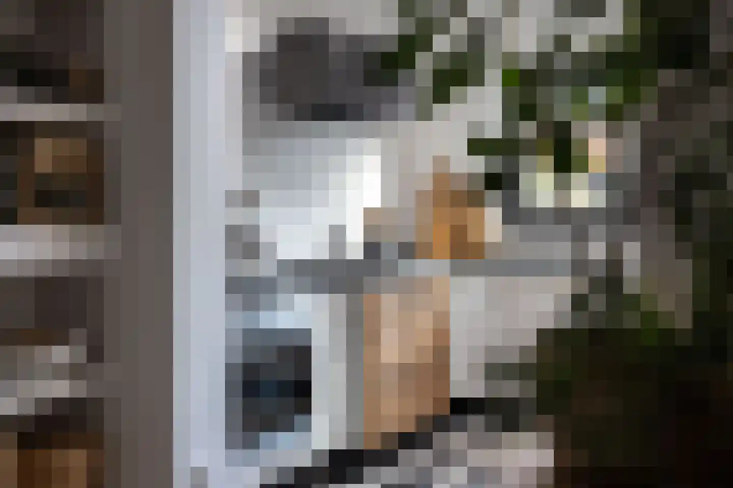 Lijsterbeslaan 4 Pijnacker thumbnail 13