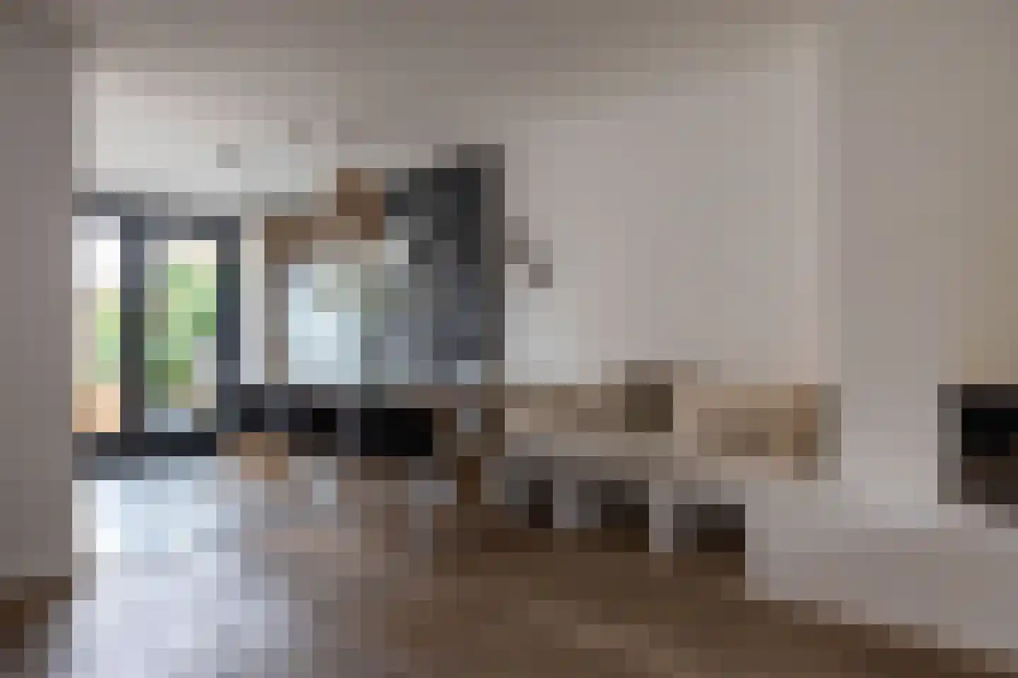 Lijsterbeslaan 4 Pijnacker thumbnail 14