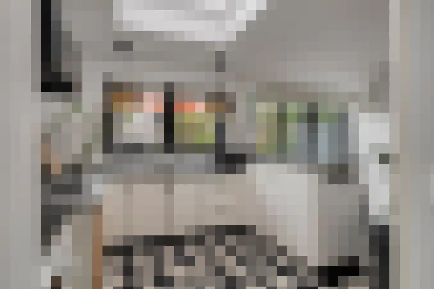 Lijsterbeslaan 4 Pijnacker thumbnail 15