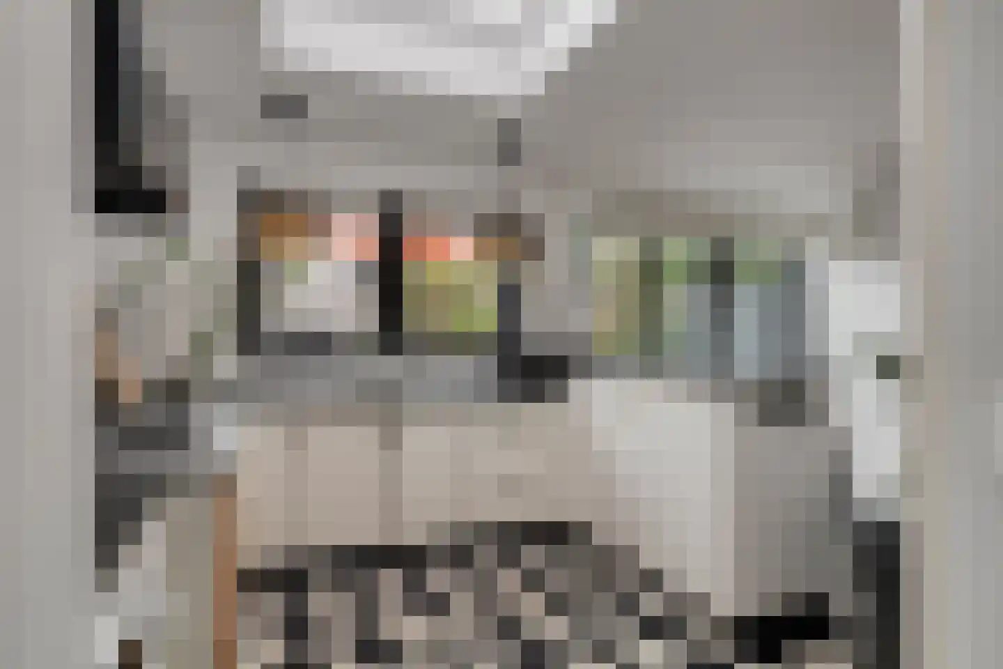 Lijsterbeslaan 4 Pijnacker thumbnail 18