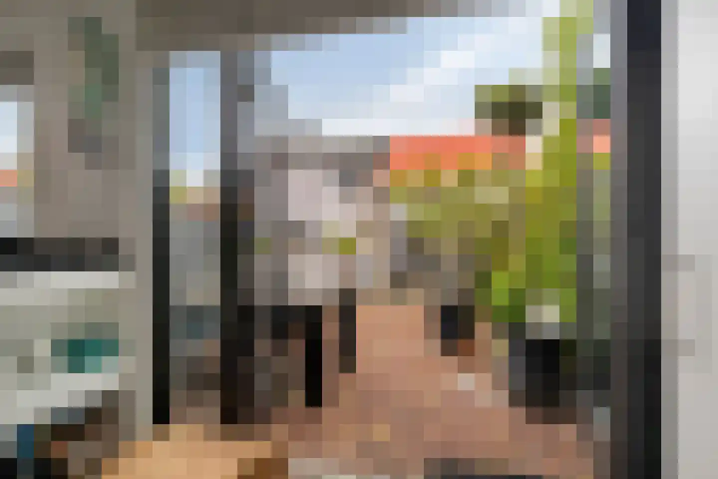 Lijsterbeslaan 4 Pijnacker thumbnail 20