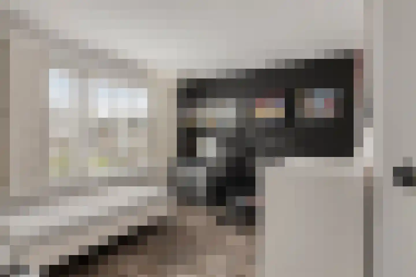 Lijsterbeslaan 4 Pijnacker thumbnail 21