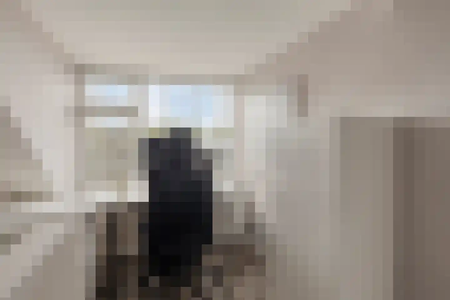 Lijsterbeslaan 4 Pijnacker thumbnail 23