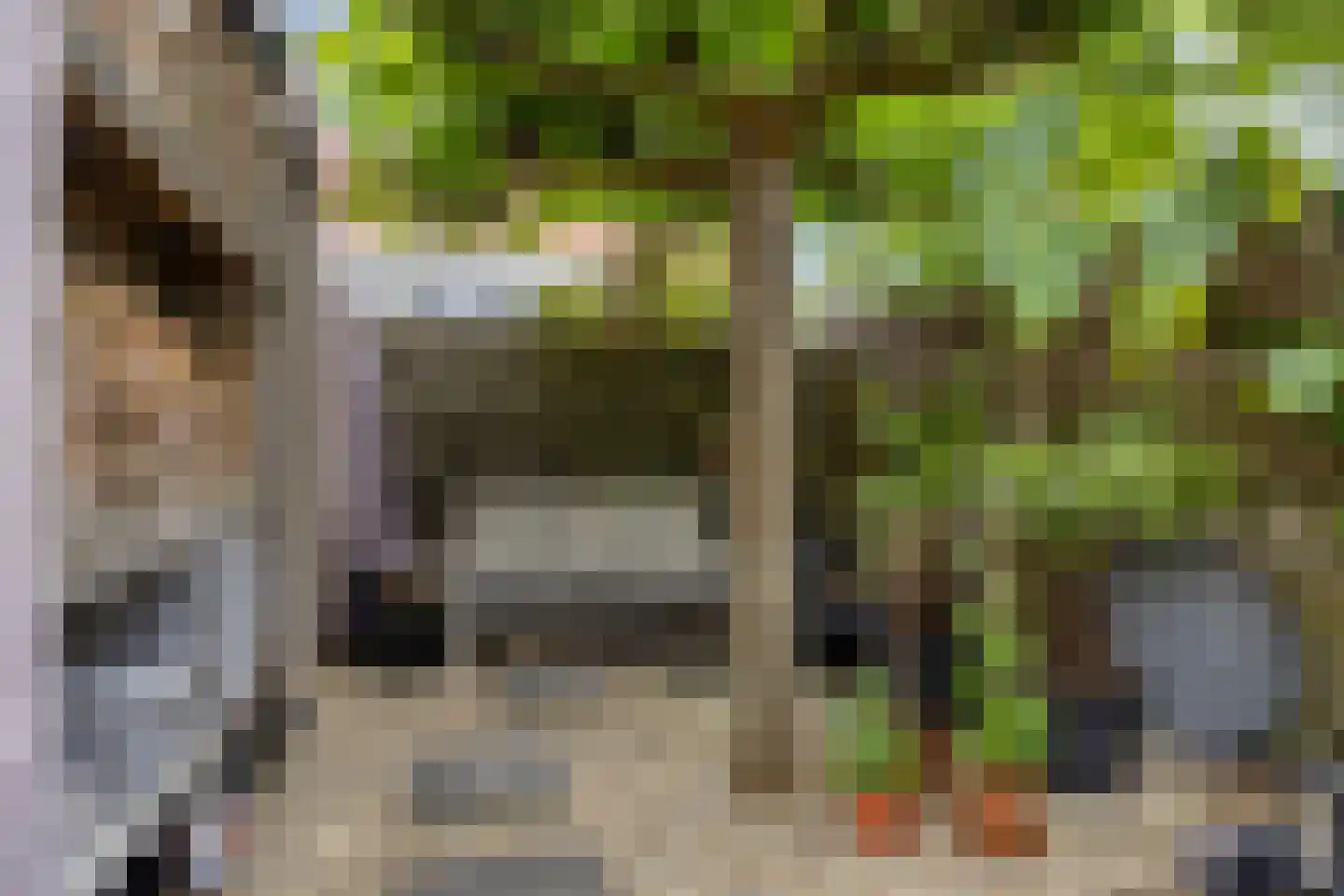 Lijsterbeslaan 4 Pijnacker thumbnail 26