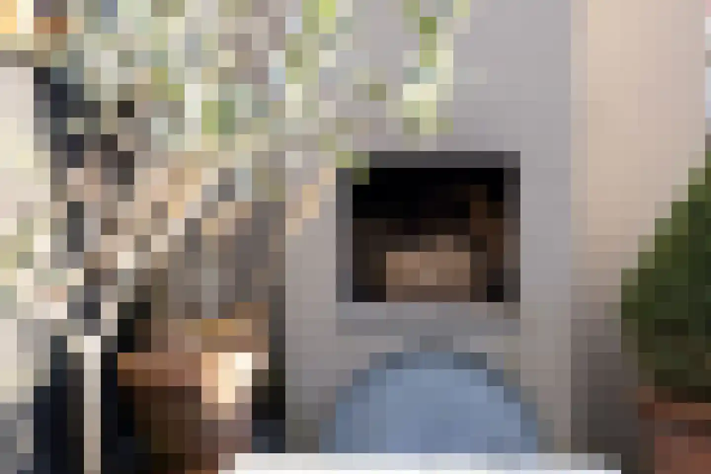 Lijsterbeslaan 4 Pijnacker thumbnail 30