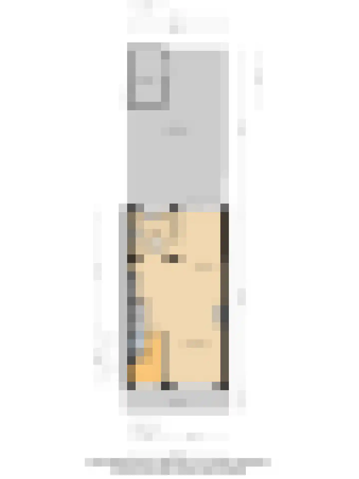 Lijsterbeslaan 4 Pijnacker thumbnail 31