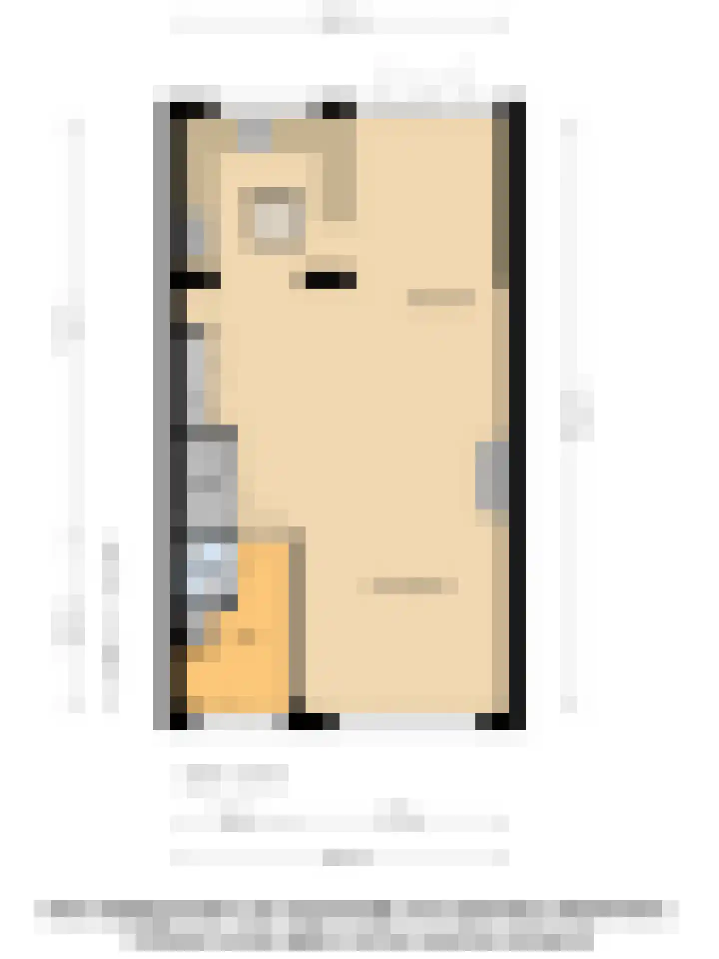 Lijsterbeslaan 4 Pijnacker thumbnail 32