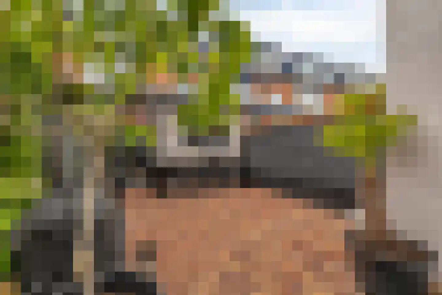 Lijsterbeslaan 4 Pijnacker thumbnail 32