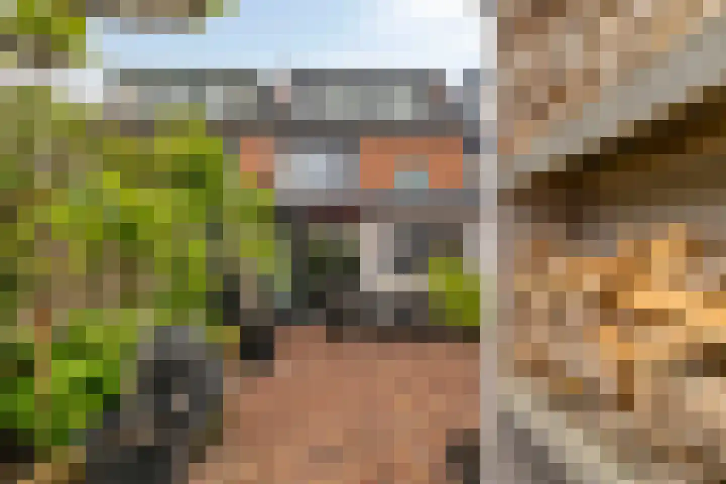 Lijsterbeslaan 4 Pijnacker thumbnail 33