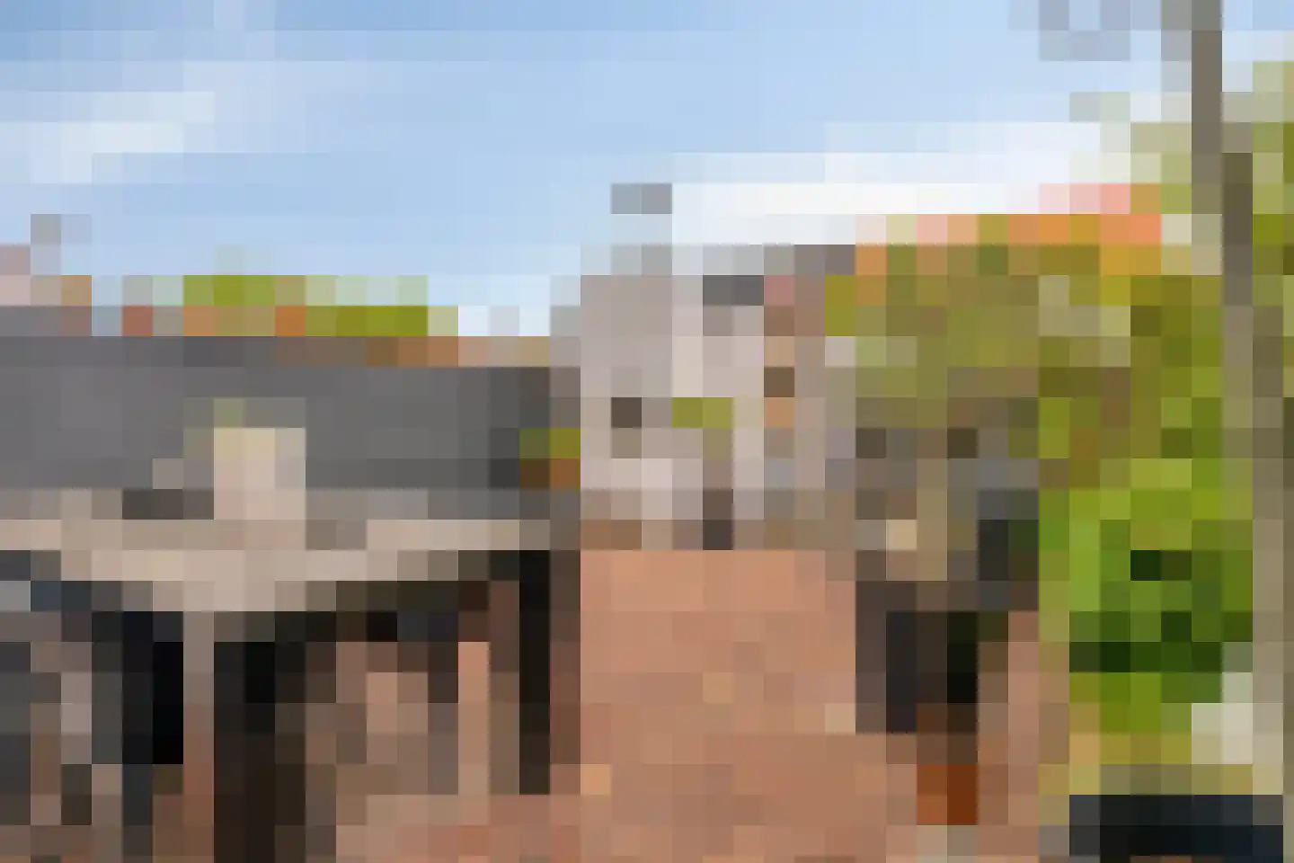 Lijsterbeslaan 4 Pijnacker thumbnail 5
