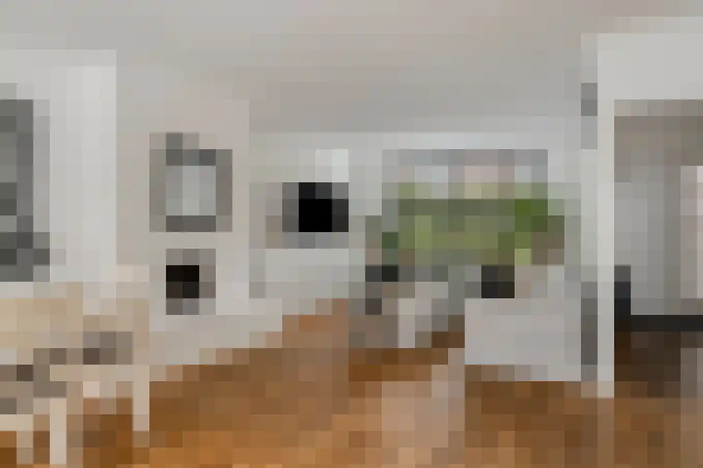 Lijsterbeslaan 4 Pijnacker thumbnail 6