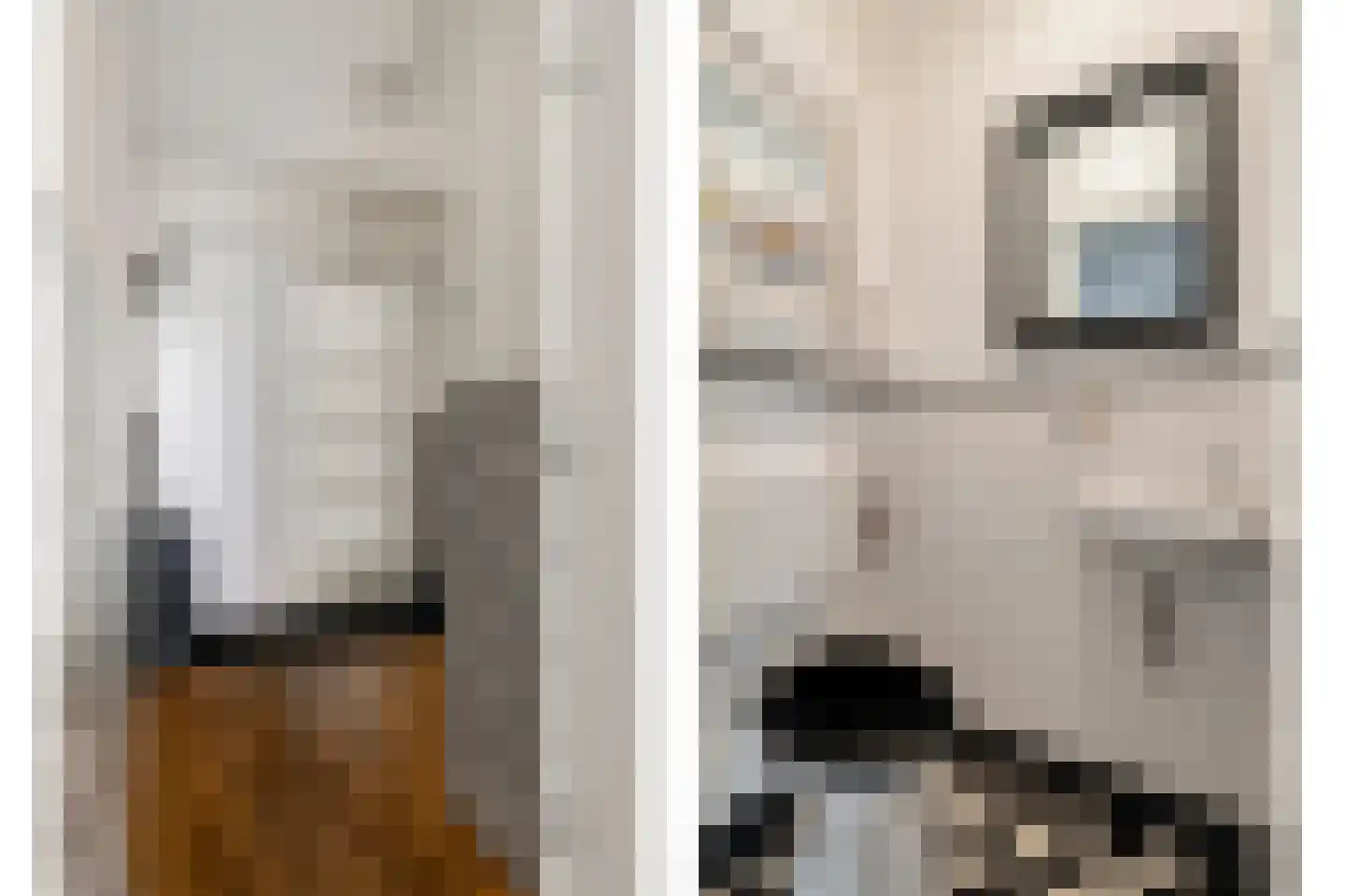 Lijsterbeslaan 4 Pijnacker thumbnail 8