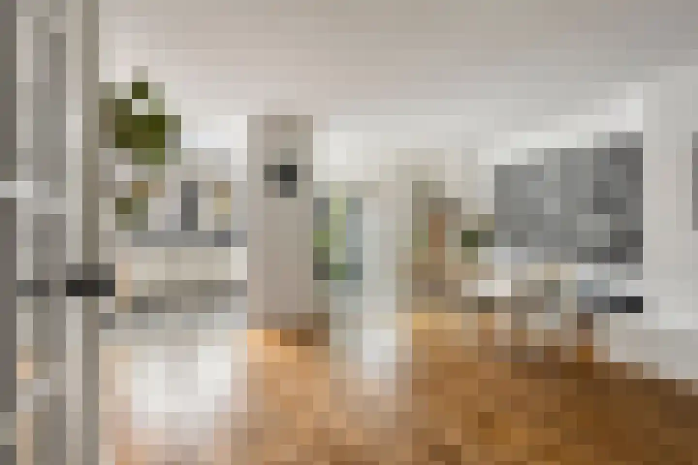 Lijsterbeslaan 4 Pijnacker thumbnail 8