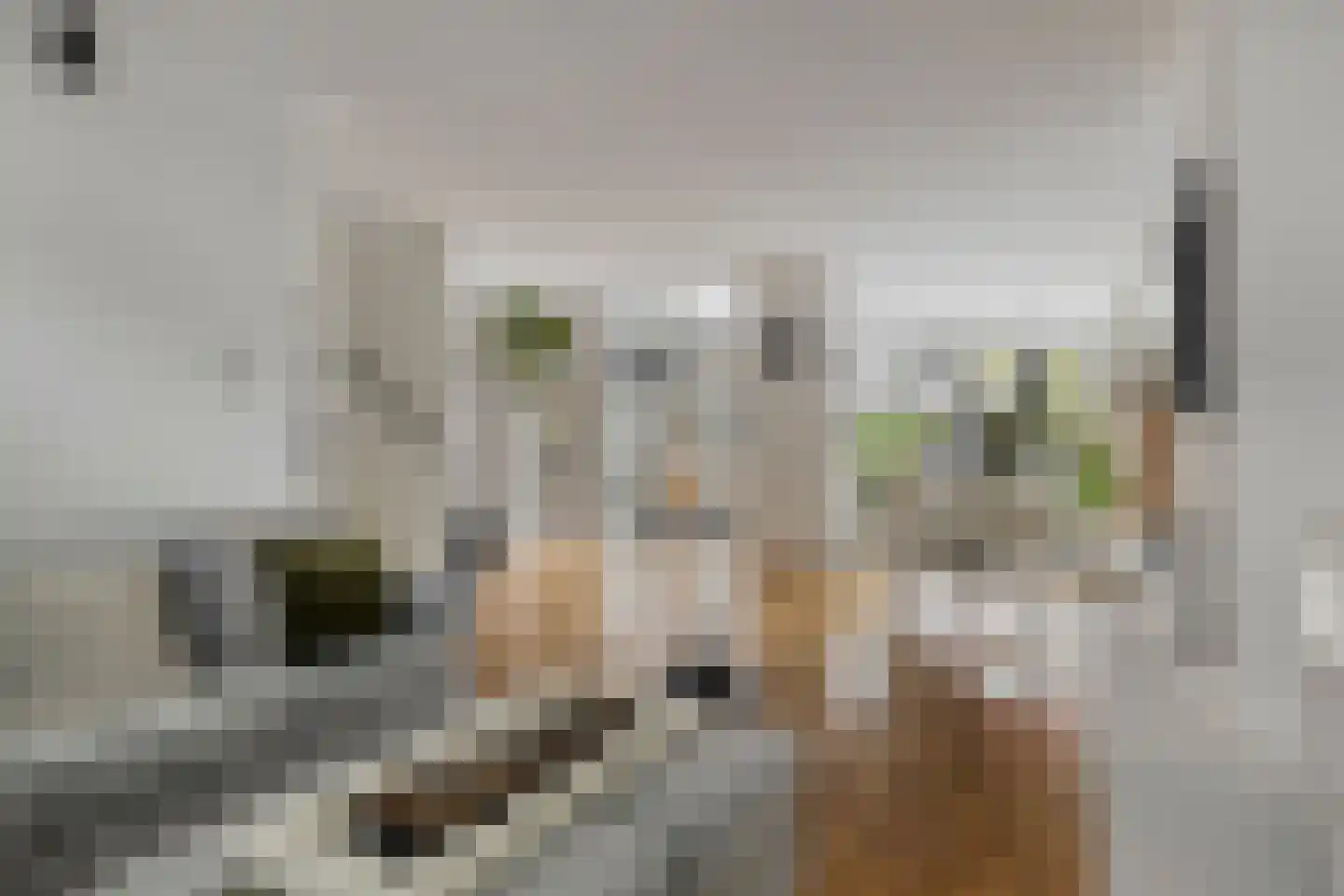 Lijsterbeslaan 4 Pijnacker thumbnail 9
