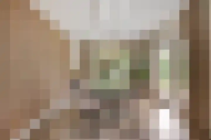 Lijsterbeslaan 41 Aalten thumbnail 17