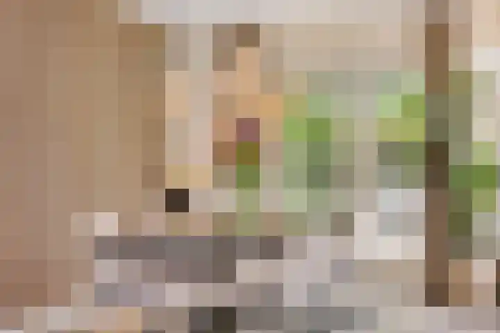 Lijsterbeslaan 41 Aalten thumbnail 18