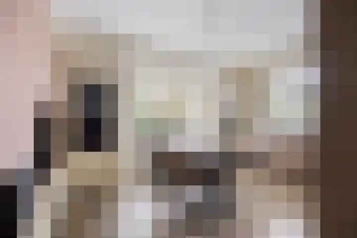 Lijsterbeslaan 41 Aalten thumbnail 21