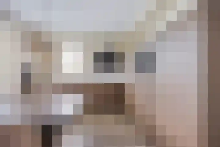 Lijsterbeslaan 41 Aalten thumbnail 22