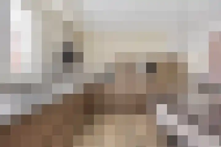 Lijsterbeslaan 41 Aalten thumbnail 23