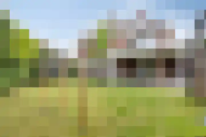 Lijsterbeslaan 41 Aalten thumbnail 44