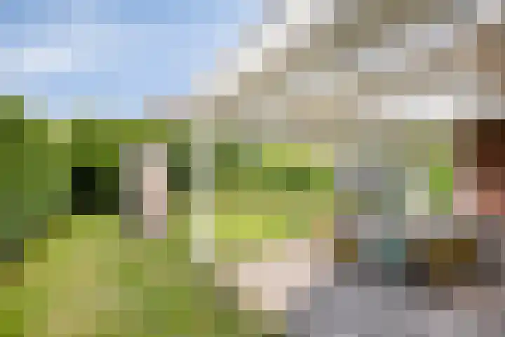 Lijsterbeslaan 41 Aalten thumbnail 45