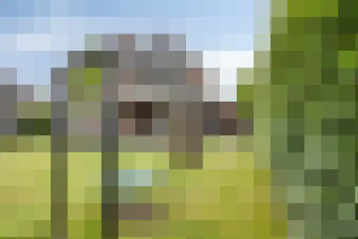 Lijsterbeslaan 41 Aalten thumbnail 47