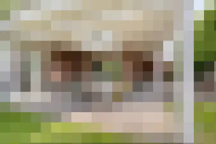 Lijsterbeslaan 41 Aalten thumbnail 48