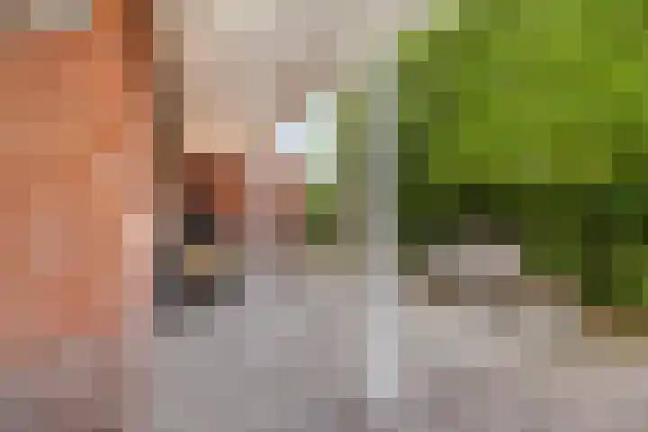 Lijsterbeslaan 41 Aalten thumbnail 50