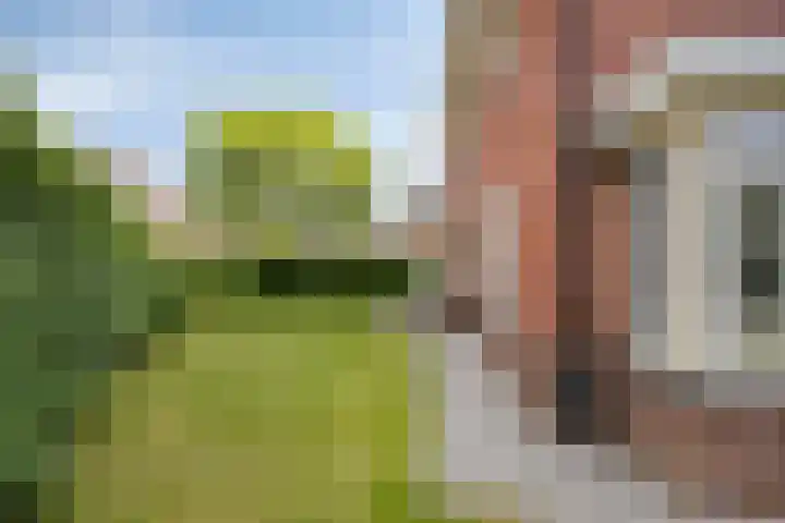Lijsterbeslaan 41 Aalten thumbnail 51