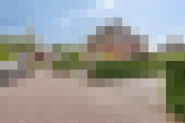 Lijsterbeslaan 41 Aalten thumbnail 53