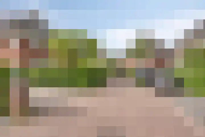 Lijsterbeslaan 41 Aalten thumbnail 54