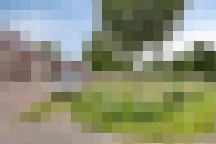Lijsterbeslaan 41 Aalten thumbnail 55