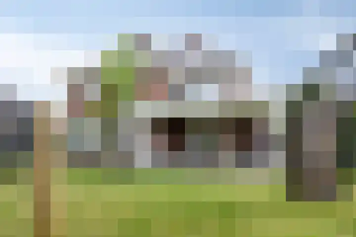 Lijsterbeslaan 41 Aalten thumbnail 62