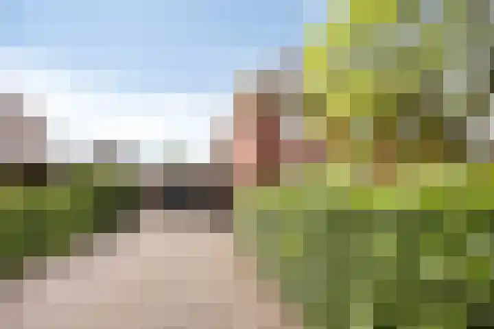 Lijsterbeslaan 41 Aalten thumbnail 7