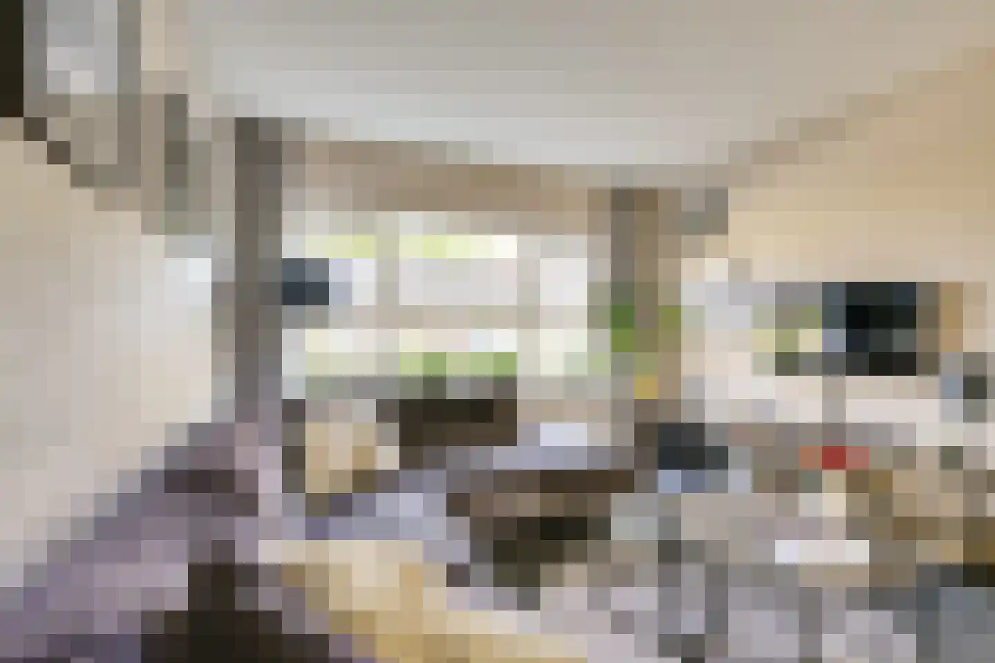 Lijsterbeslaan 42 Lexmond thumbnail 10