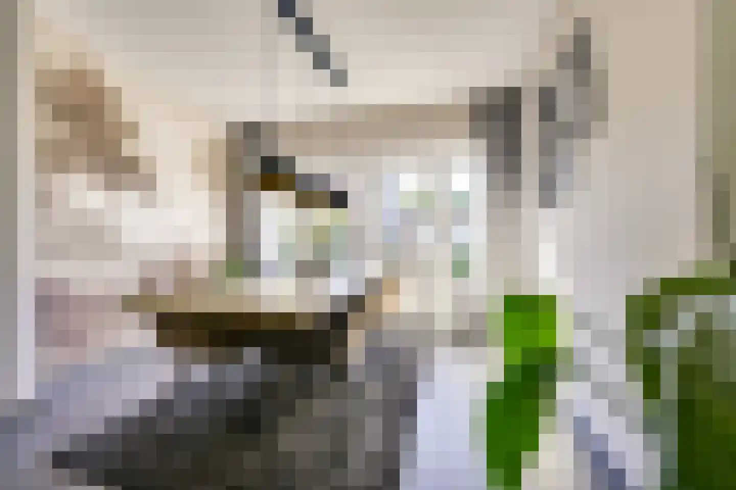 Lijsterbeslaan 42 Lexmond thumbnail 14
