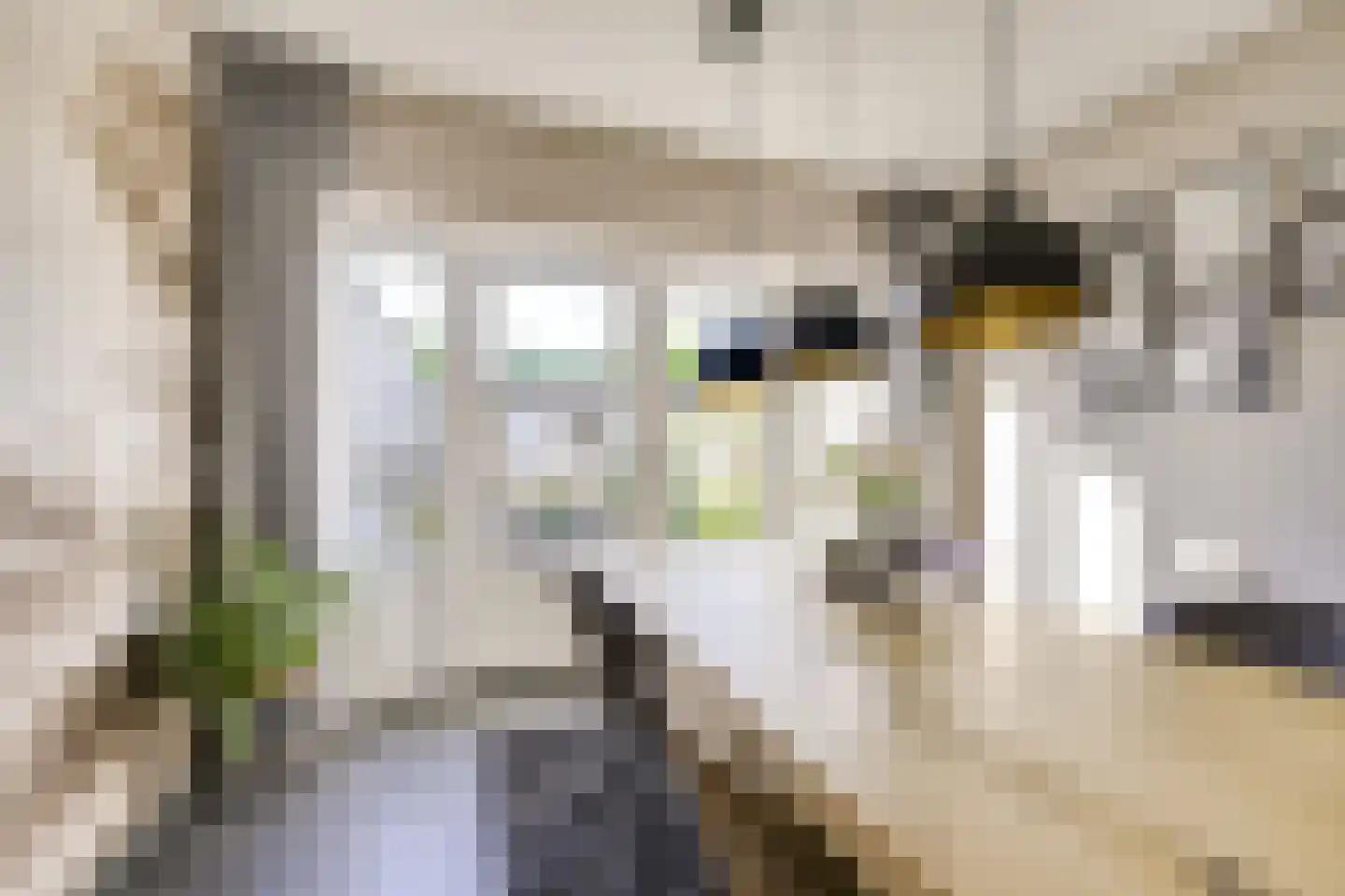 Lijsterbeslaan 42 Lexmond thumbnail 15