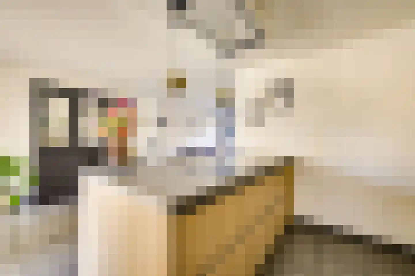 Lijsterbeslaan 42 Lexmond thumbnail 17