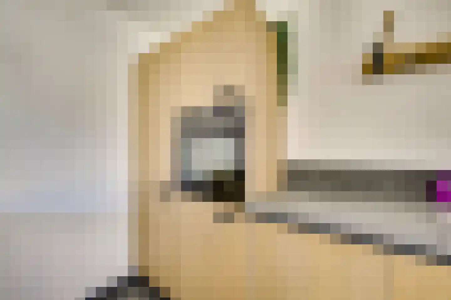 Lijsterbeslaan 42 Lexmond thumbnail 18