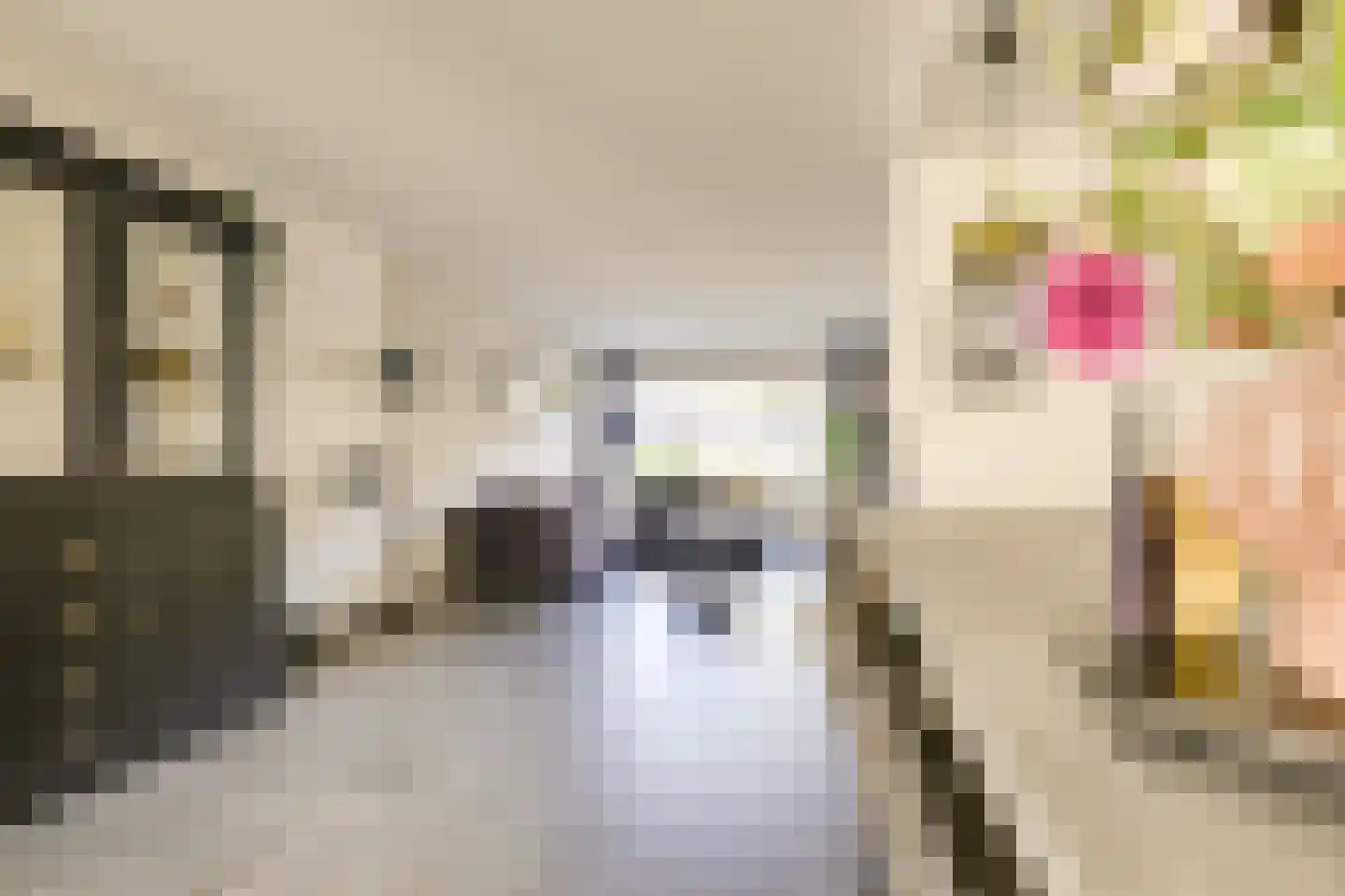 Lijsterbeslaan 42 Lexmond thumbnail 22