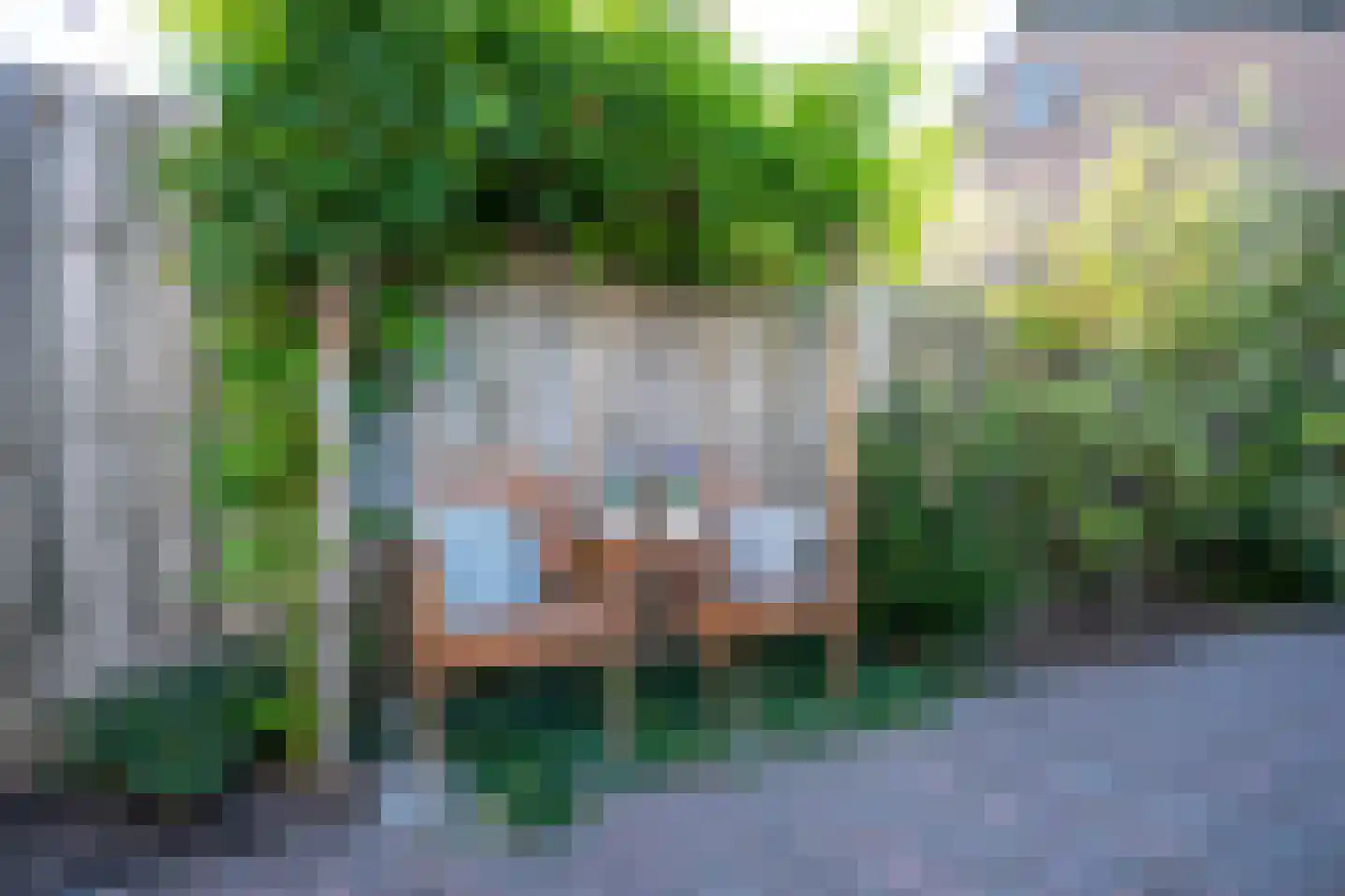 Lijsterbeslaan 42 Lexmond thumbnail 29