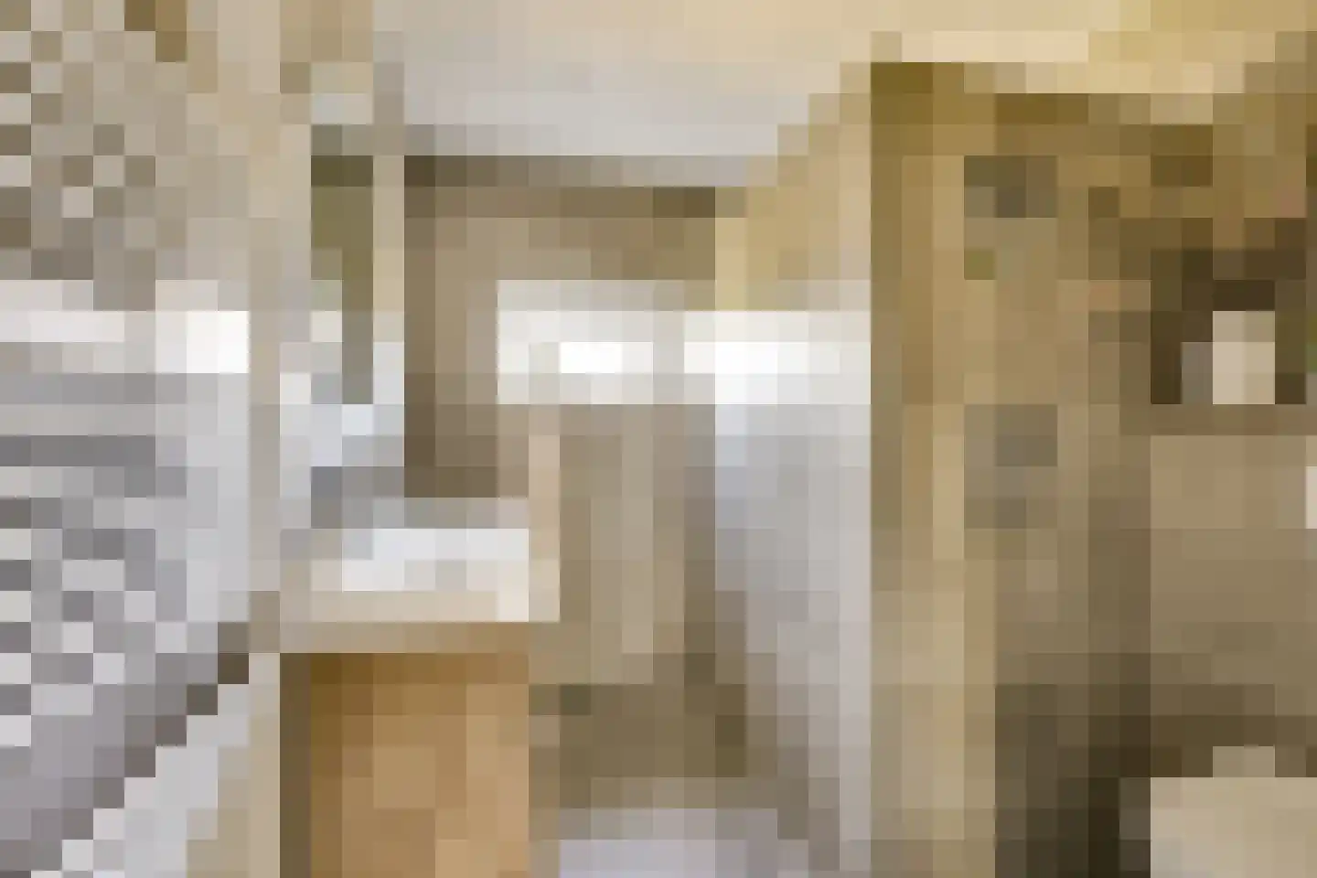 Lijsterbeslaan 42 Lexmond thumbnail 35