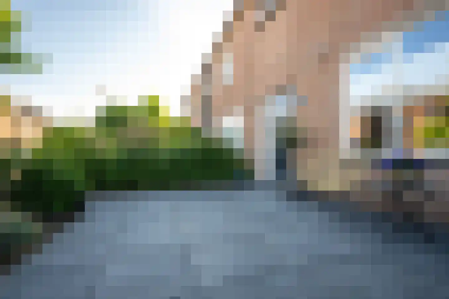 Lijsterbeslaan 42 Lexmond thumbnail 54