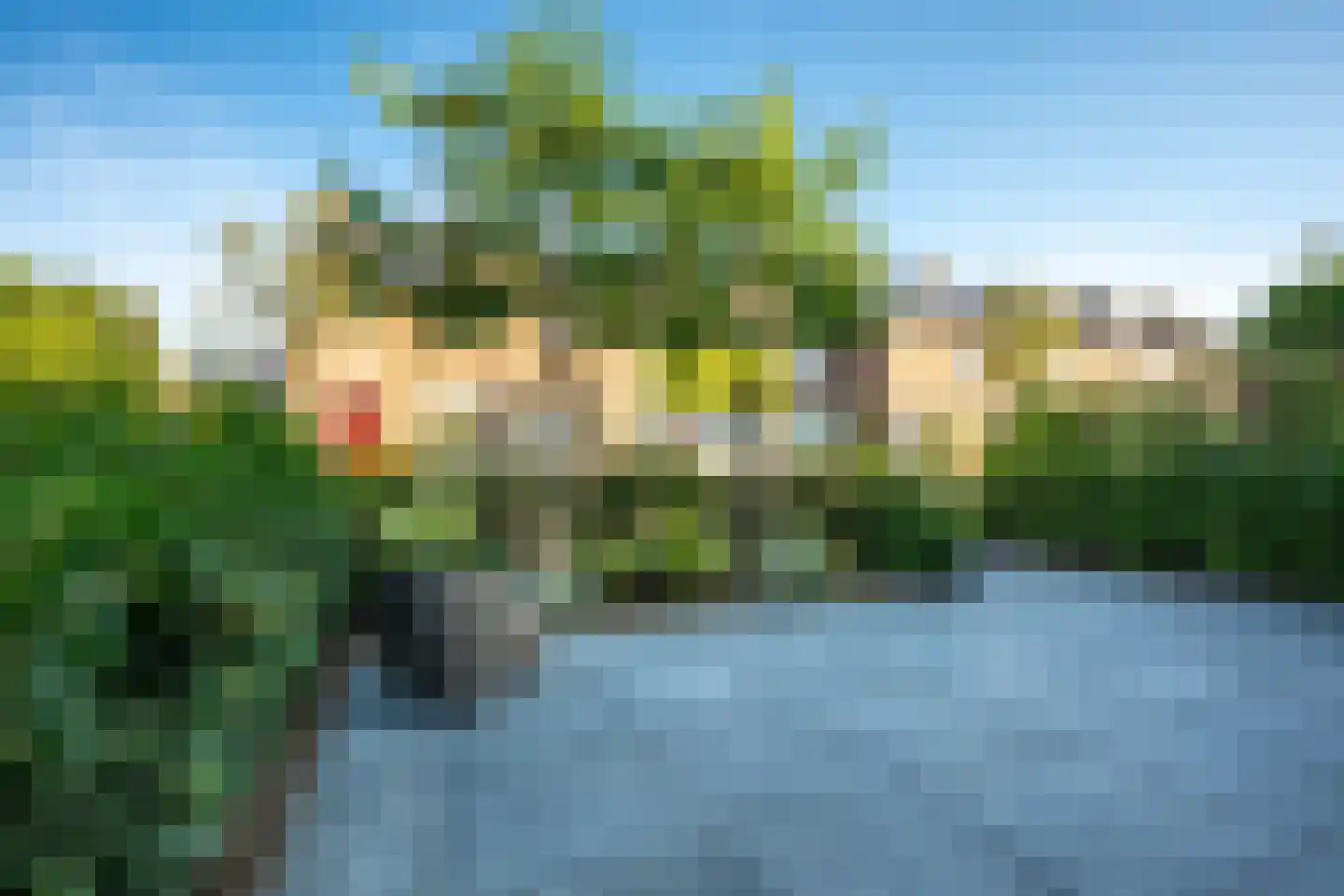 Lijsterbeslaan 42 Lexmond thumbnail 55