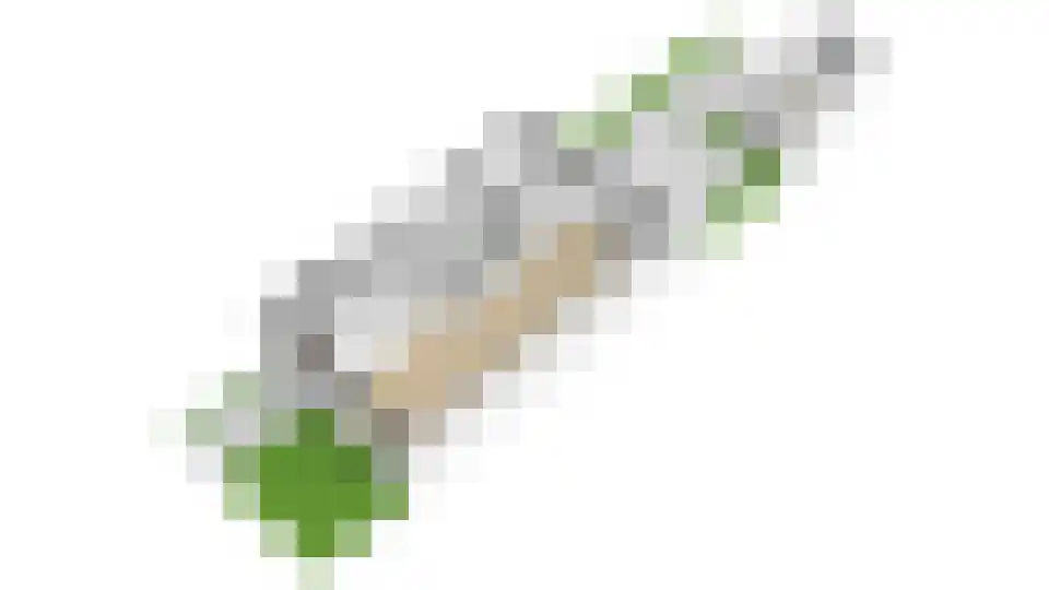 Lijsterbeslaan 42 Lexmond thumbnail 66