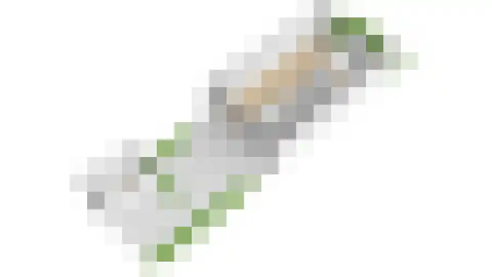Lijsterbeslaan 42 Lexmond thumbnail 67