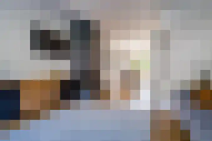 Lijsterbeslaan 52 Rijswijk thumbnail 10