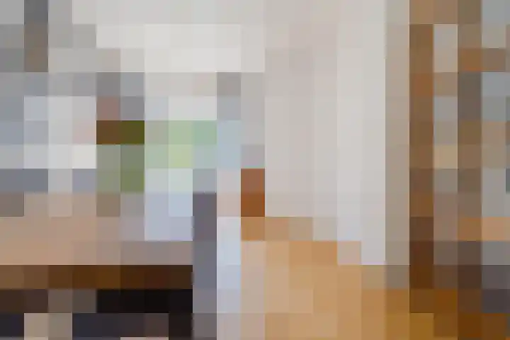 Lijsterbeslaan 52 Rijswijk thumbnail 17